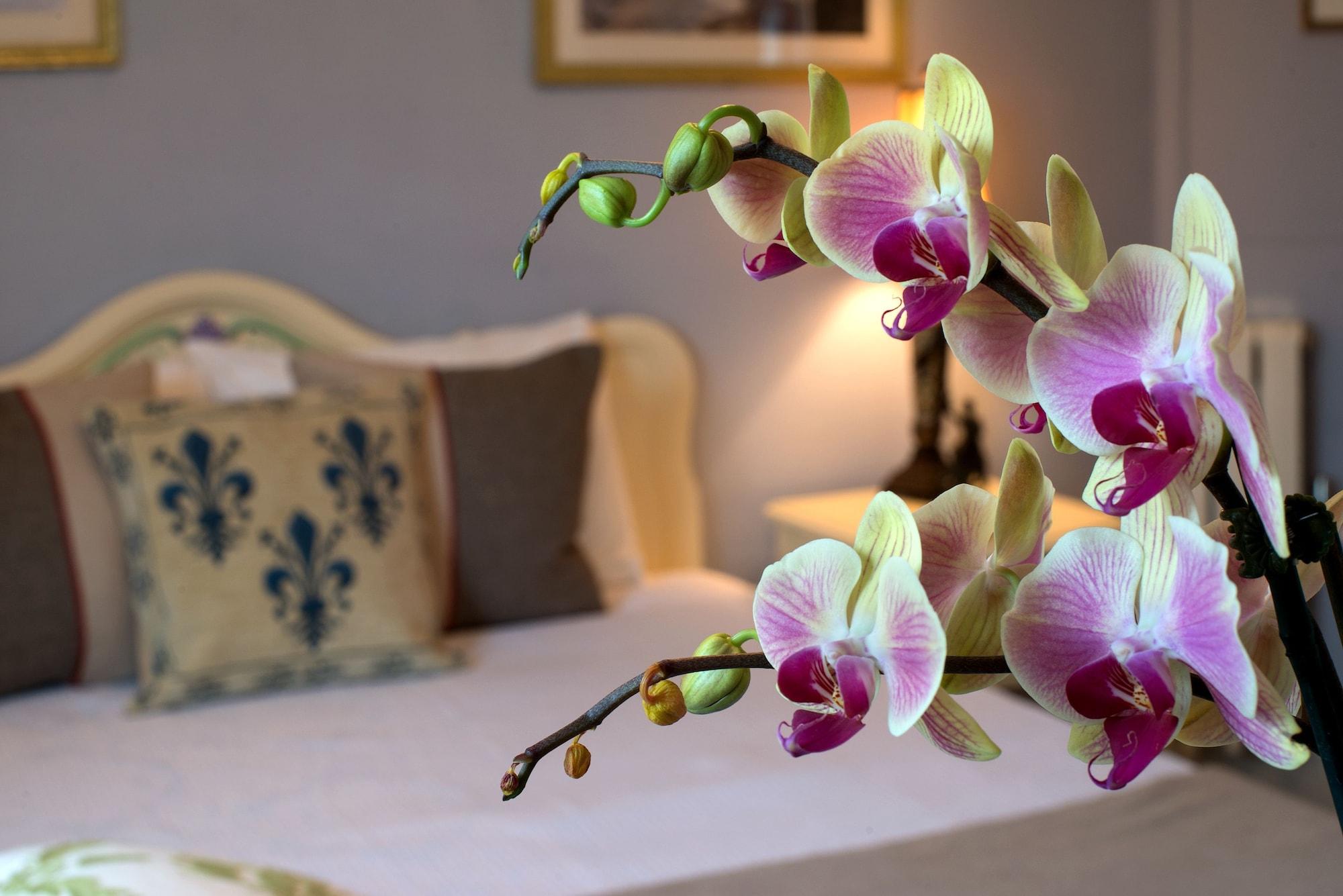 Cornell Hotel De France Σαν Φρανσίσκο Εξωτερικό φωτογραφία