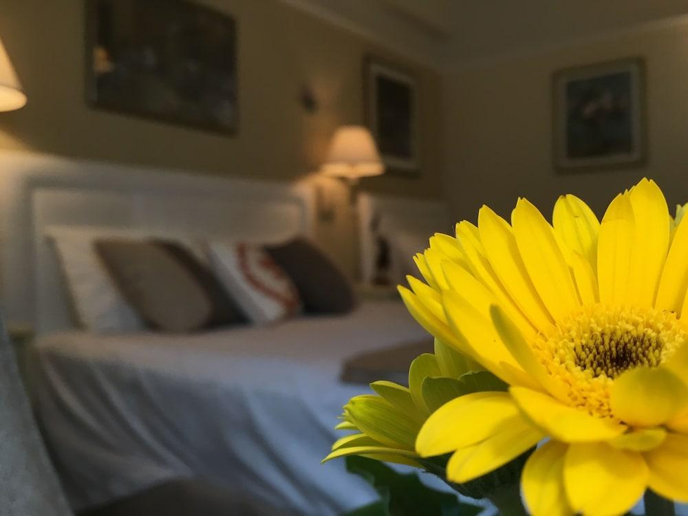 Cornell Hotel De France Σαν Φρανσίσκο Εξωτερικό φωτογραφία